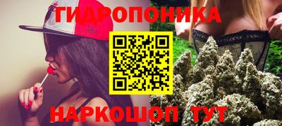 тгк Кандалакша