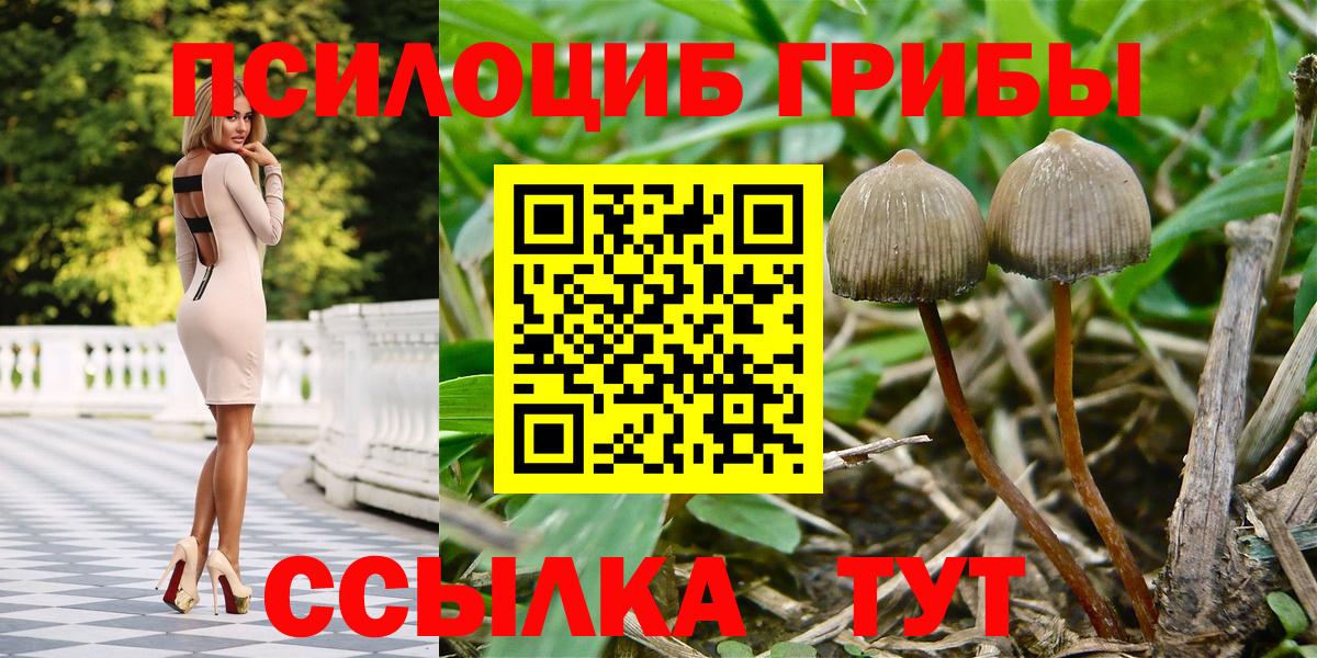 Псилоцибиновые грибы прущие грибы  Вход с VPN  Псилоцибиновые грибы MAGIC MUSHROOMS  Донецк 