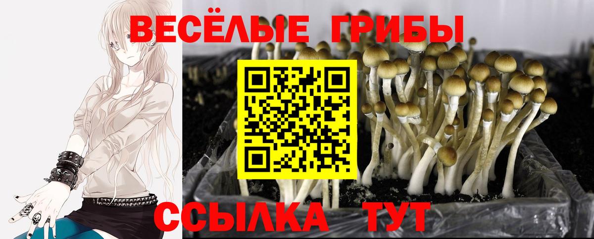 Псилоцибиновые грибы прущие грибы Донецк
